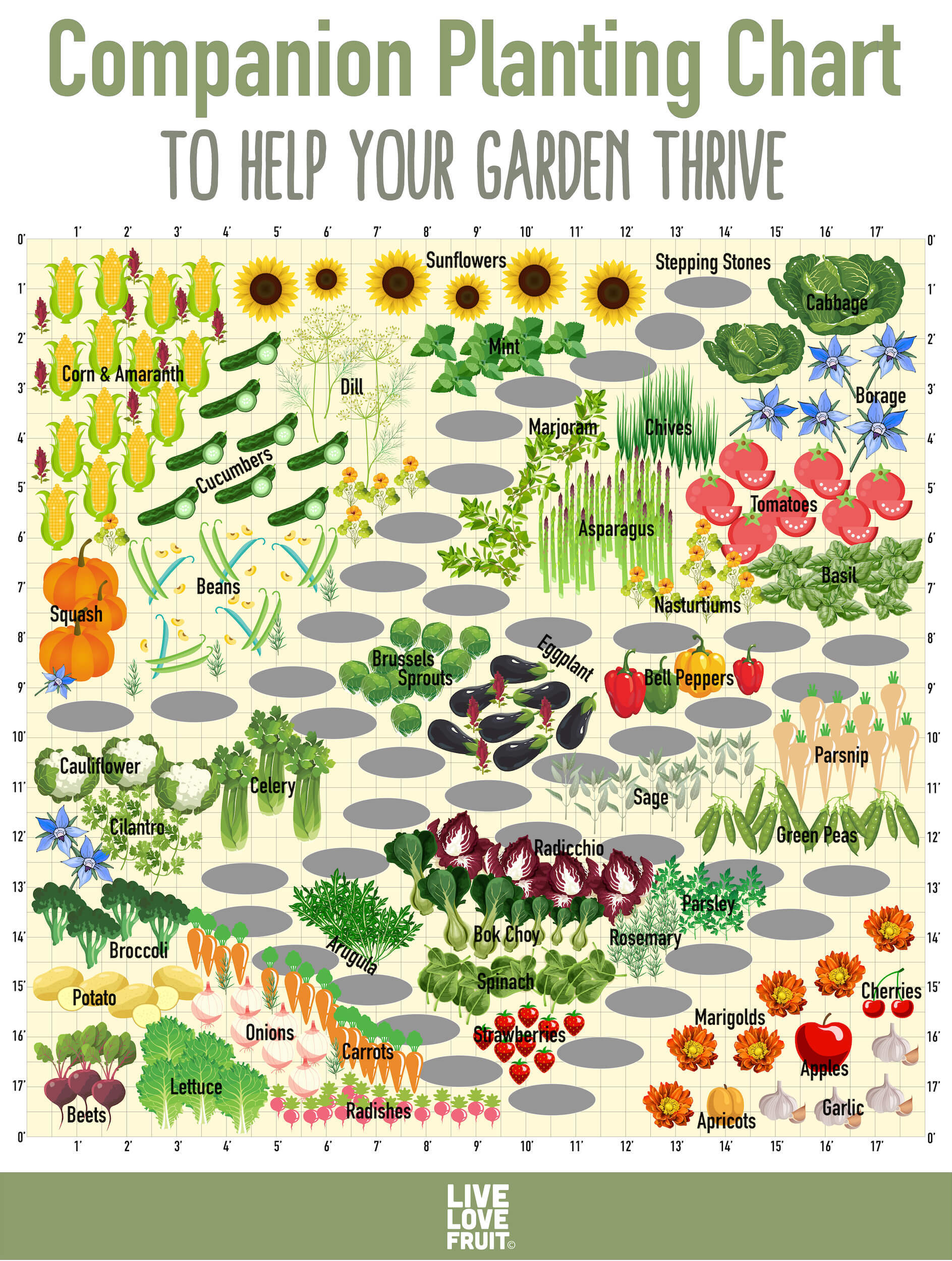 companion-planting-chart-01.jpg