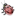 bug.png bug.png
